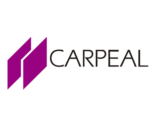 CARPEAL - Portfolio Dialéctica Web