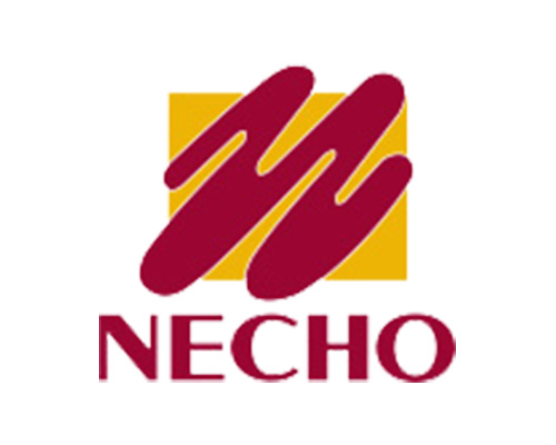 Necho - Portfolio Dialéctica Web